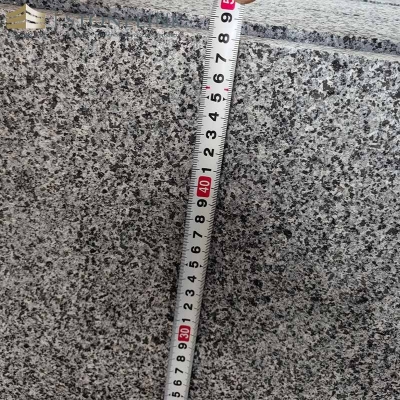 G654 Sesame Gray granite wall cladding tile